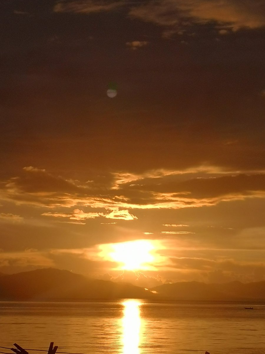 sambals69's tweet image. ...