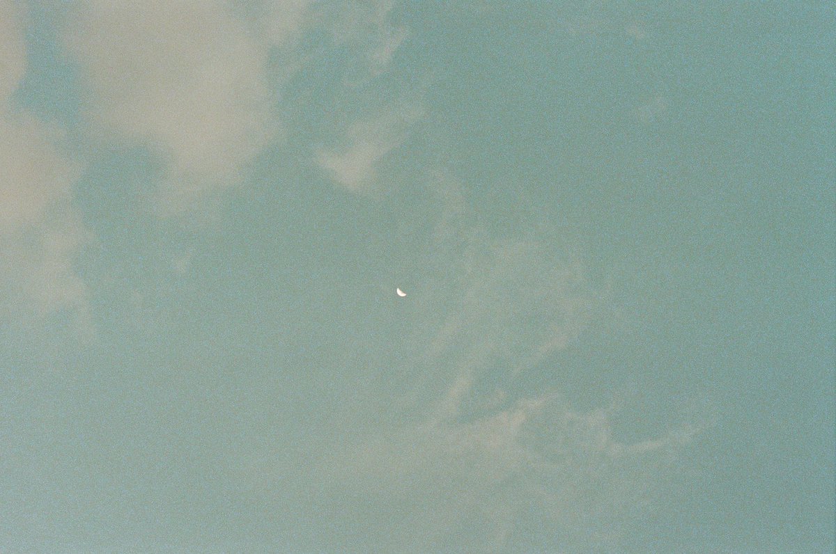 amidriel.film tweet media