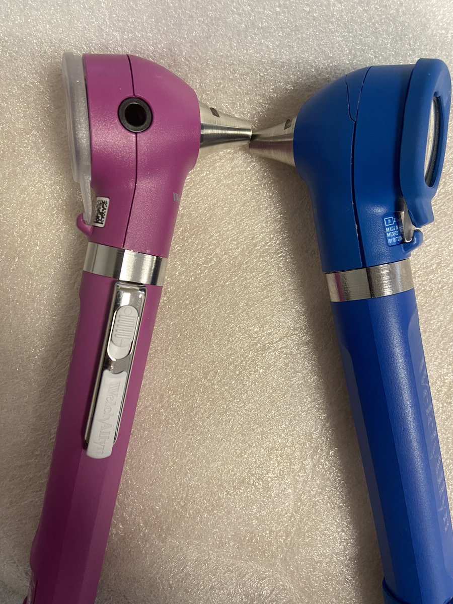 Sue Falkingham 💙 tweet media