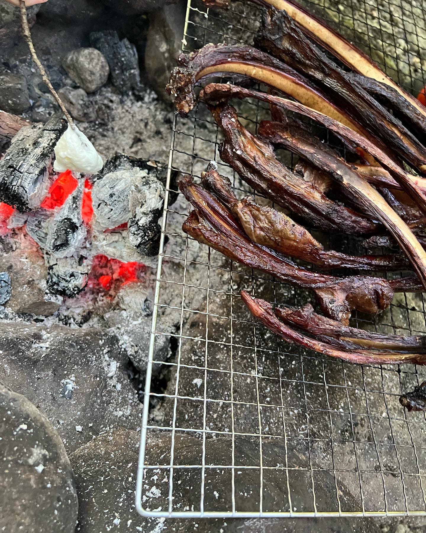 浦中こういち 火曜日お手伝い あそび にいったいなべ大きなもりのいえの子どもたちとたべた鹿肉とマシュマロ 楽しかった よく考えたら昔はこんなことばかりやっていたよ 川でお腹すきすぎて食べれるかもとタニシを焼いてたべたらみんな一斉に口から