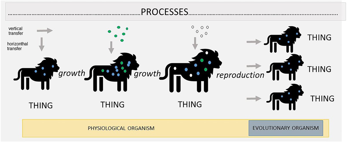 Our biology &amp; philosophy collaboration paper is out   @AdrianoStencel 
<a href="/FrontMicrobiol/">Frontiers - Microbiology</a>
A pluralistic view of holobionts in the context of process ontology

doi.org/10.3389/fmicb.… 
change in perspective reconcilles whether a holobiont can be considered an organism.