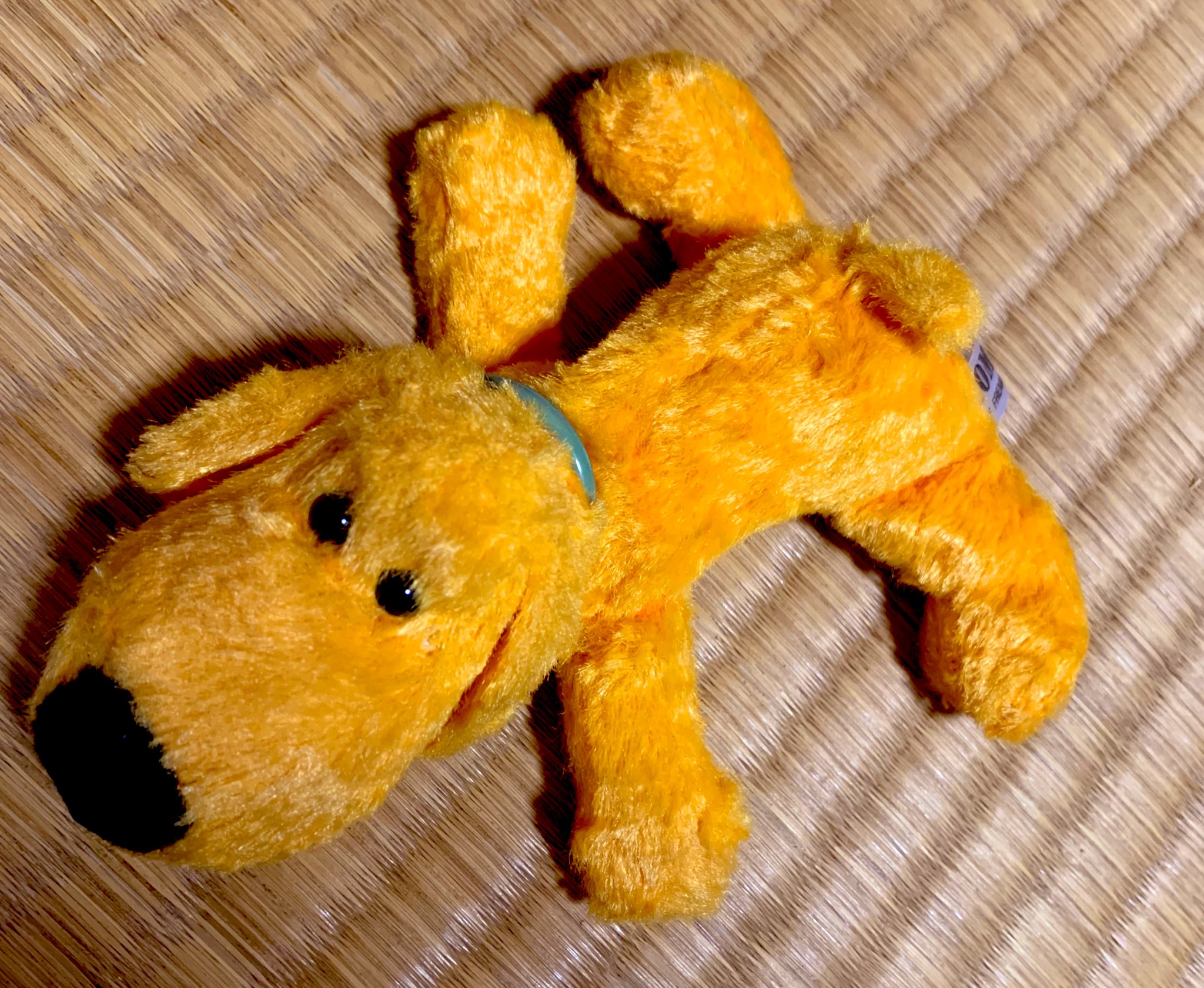 子犬のルーク 仔犬のルーク 小犬のルーク ぬいぐるみ