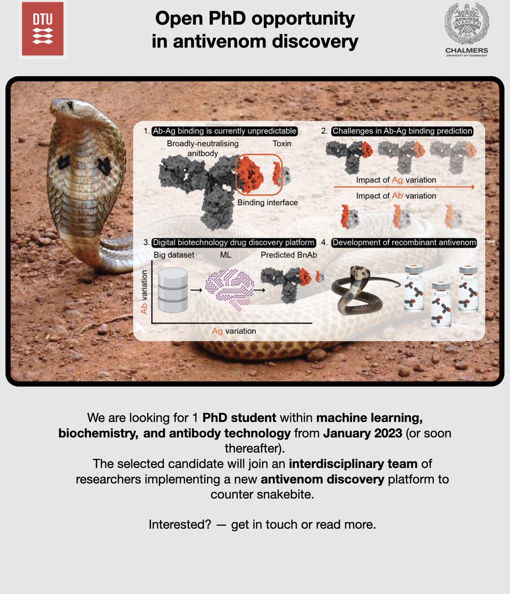 Today comes with further exciting news: We will get our first #phd student🎉🎉🎉

The project will combine #highthroughput in vitro tech, with #nextgenerationsequencing, and #machinelearning to tackle #snakebite.

Apply here: bit.ly/3vEVrkq

<a href="/DTUtweet/">DTU</a>
<a href="/DTUbioengineer/">DTU Bioengineering</a>