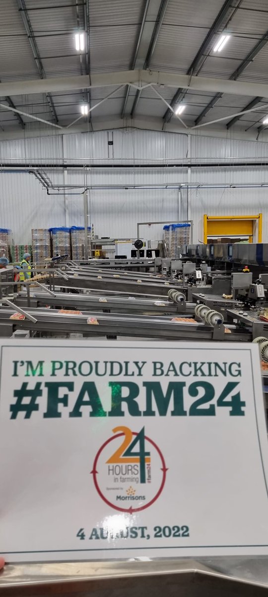 Chippindale Foods (@expertsineggs) on Twitter photo Our grading machine loves working its way through the amazing eggs we collect daily from our producers #Farm24 Our grading machine loves working its way through the amazing eggs we collect daily from our producers #Farm24