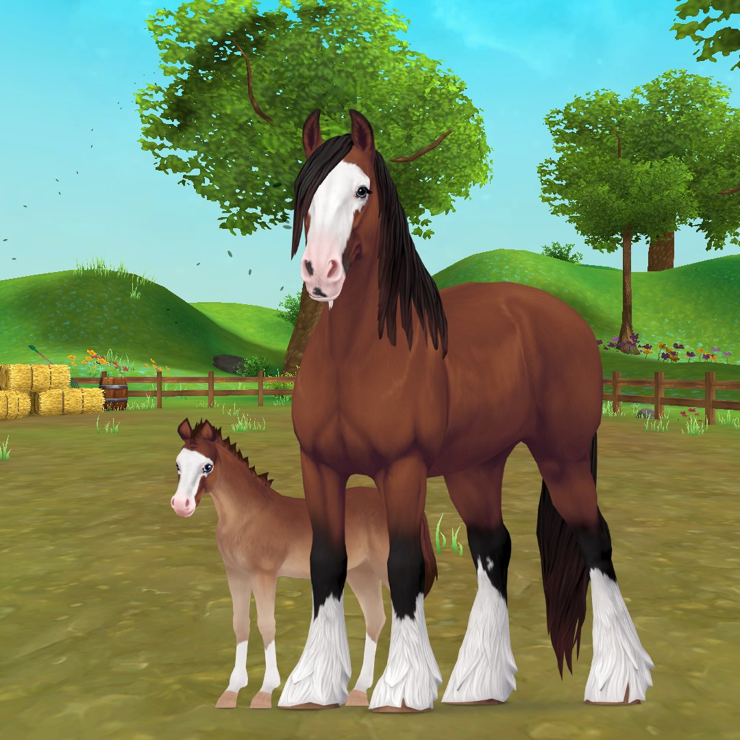 Hey StarFam! Nesta semana, - Star Stable Online Brasil