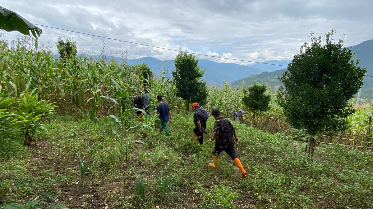 sangaykhandu's tweet photo. Gongtseri in Udzorong with team Central Tashigang. More elusives and efforts continue to catch them for neutering #NADPM #desuung #bhutan https://t.co/SuA3Q3N6OO