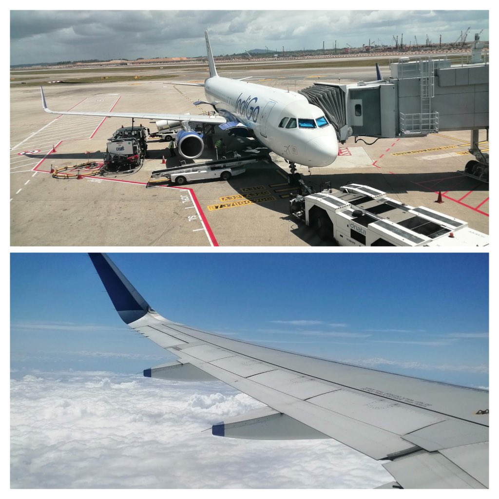 Mitali Pant 🇮🇳✈️ tweet media