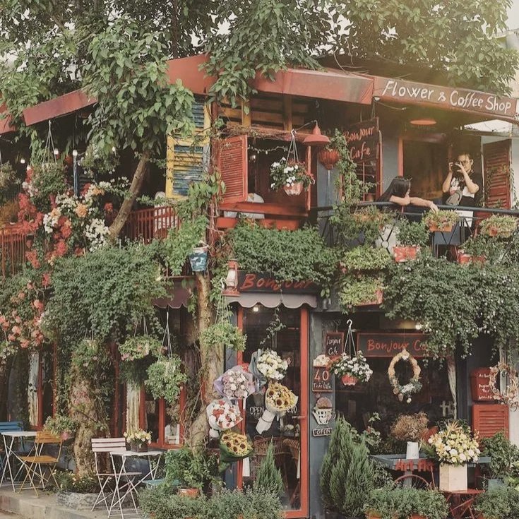 The Blueberry Trails tweet media