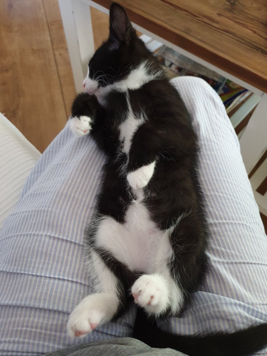 Tja, dann kann ich heute wohl nicht zur Arbeit...