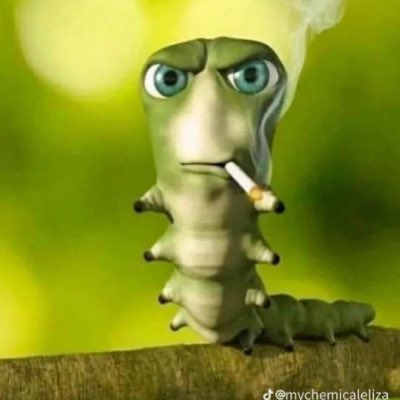 swegdude360's tweet photo. #NewProfilePic https://t.co/WY5umtDsCj