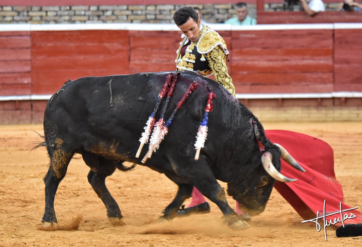 Plaza de Toros de Huelva 'La Merced' tweet media