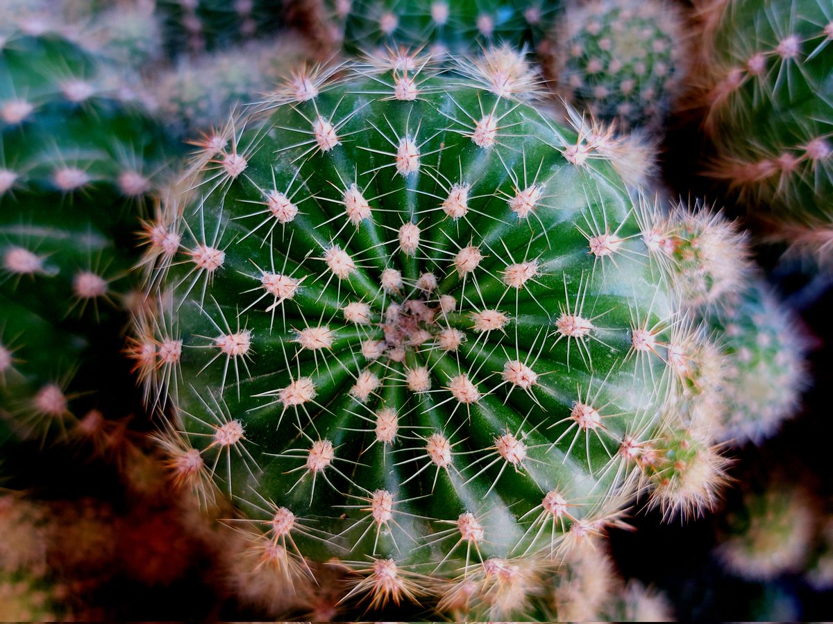 MohammadMsft's tweet image. #A52S