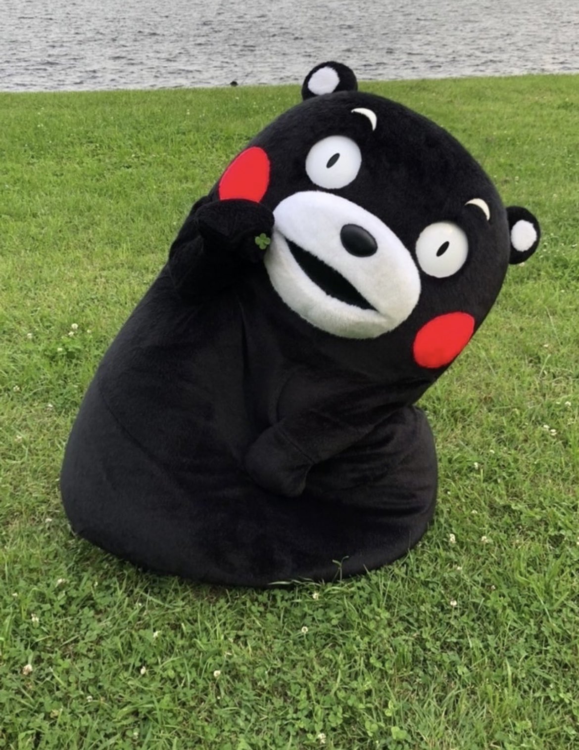 ちぃふく Mabo Twitter