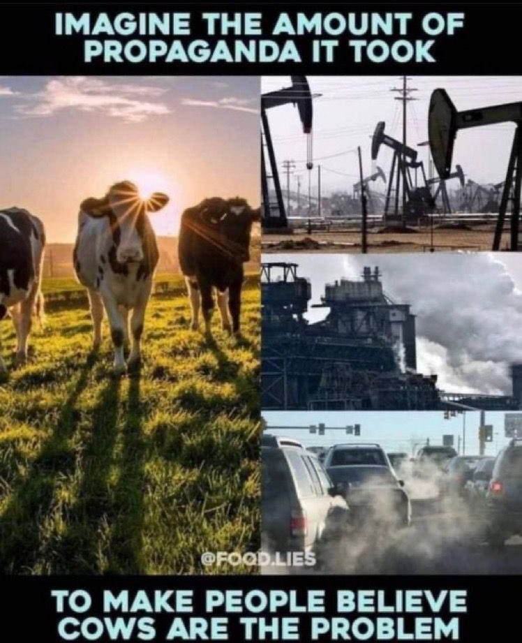 CaliforniaFrizz's tweet photo. And another.

#ClimateScam https://t.co/EY4iepVQcJ