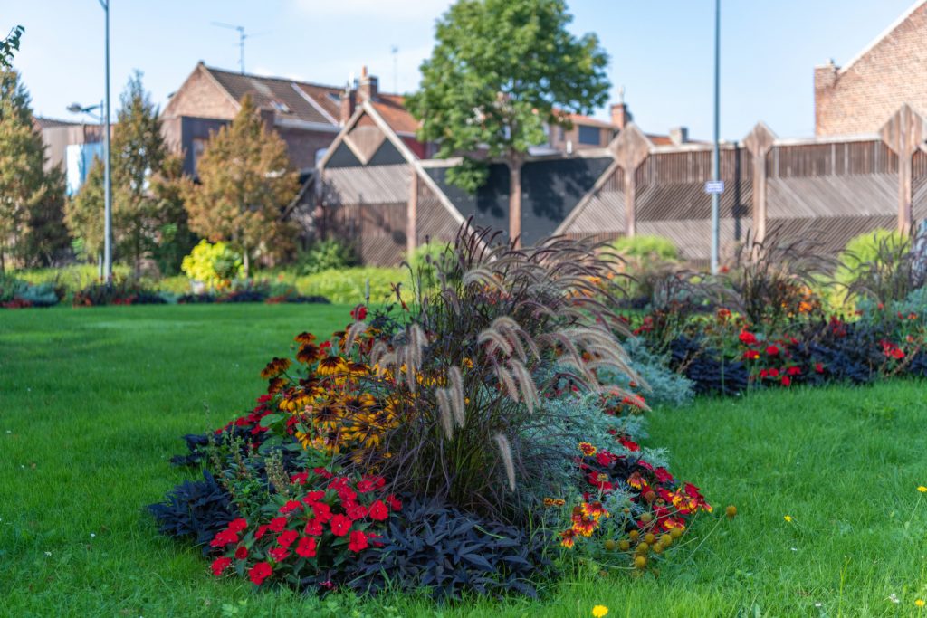 roubaix's tweet photo. #JeudiPhoto Quelques photos du parcours du jury #4Fleurs à #Roubaix https://t.co/BGlFJwEvSi 🌷 @VVFleuris
📸 Anaïs Gadeau https://t.co/YHlucIlOCl
