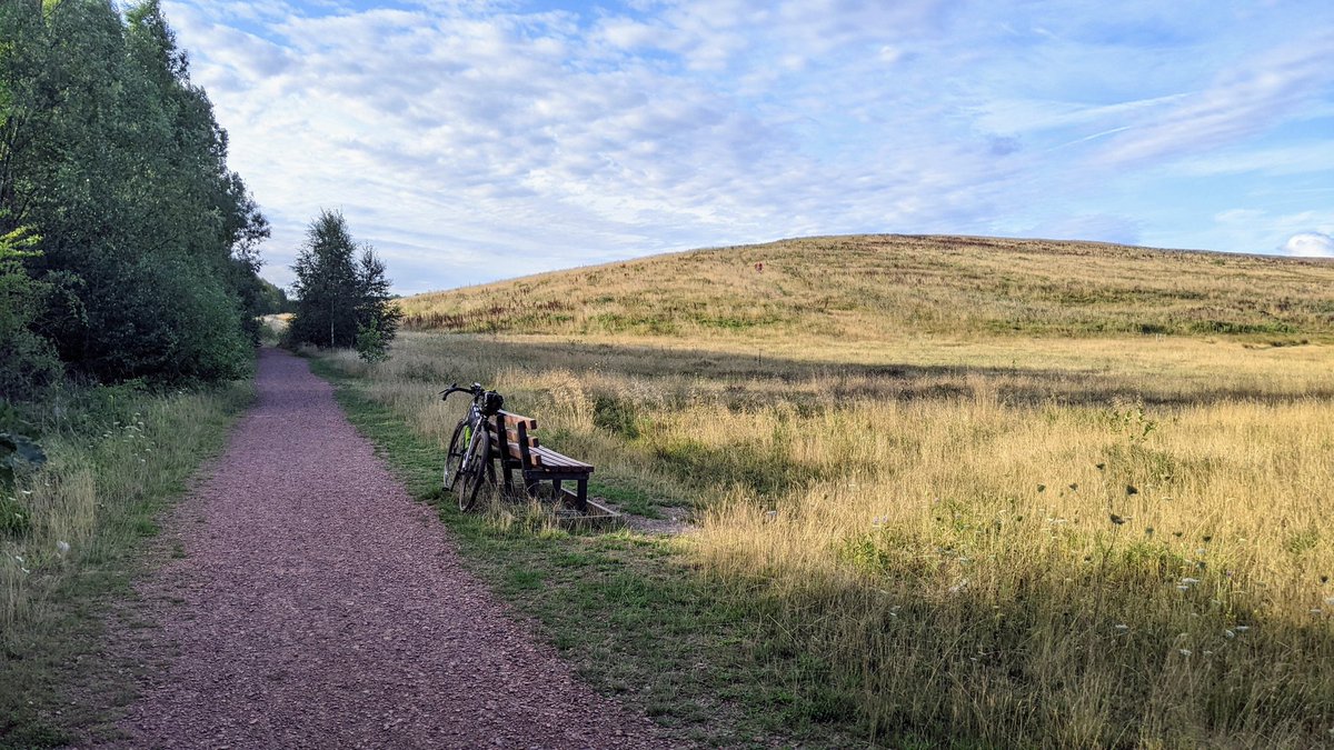 garethhorne's tweet photo. A charm of Goldfinch and a young Roe 🦌 spotted on the #TransPennineTrail &amp; @WeAreCyclingUK 's #NationalCycleNetwork Route 6 on the morning commute for #CycleToWorkDay . A mile further than the A618, but definitely worth it. https://t.co/GPPfxezpc8