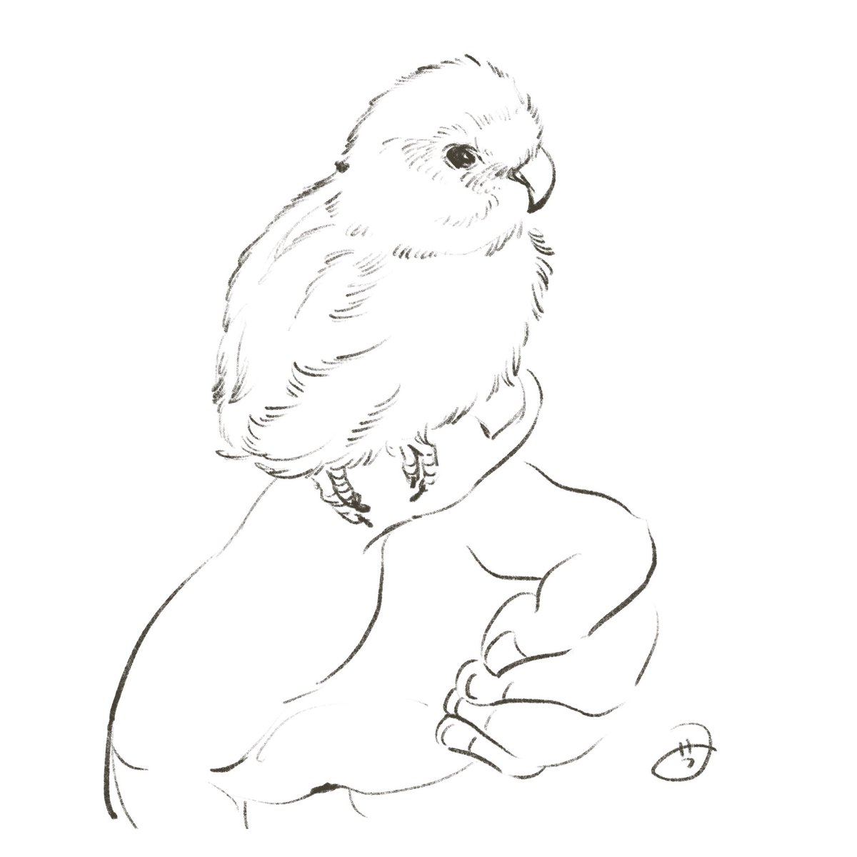 鳥の説明で描いたやつ 