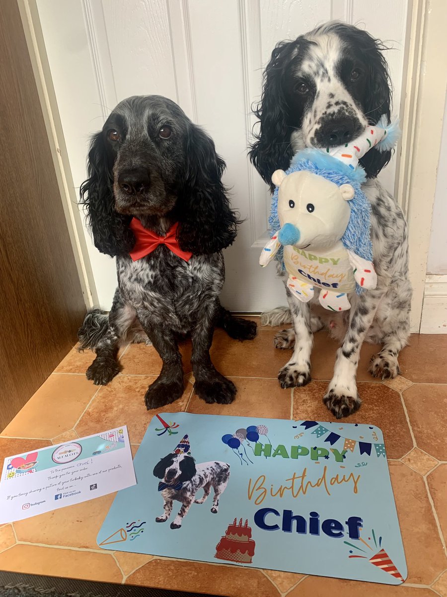 PetNaturally's tweet image. Our **Birthday Themed Photo Competition** is running across both our Facebook and Instagram pages. Don’t miss out on a free treat bag for your best friend. Pop over and add your photos
Facebook @naturallyrawpetfood
Instagram @naturally_raw_pet_food