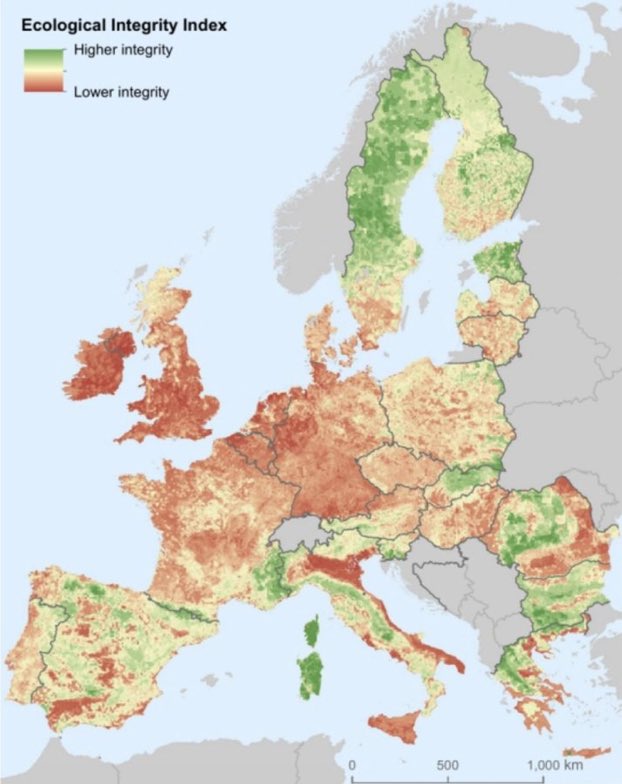 Ireland has zero wild places - none at all. 

We are the worst in Europe.

The “wild Atlantic way” is marketing nothing more.

The state doesn’t care