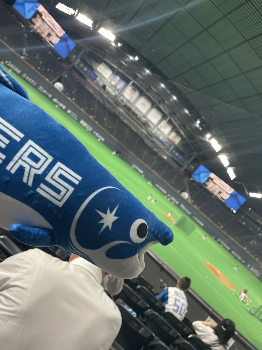 fighter26yk's tweet photo. しゃけまると一緒応援📣 https://t.co/5L5JzCZuKc