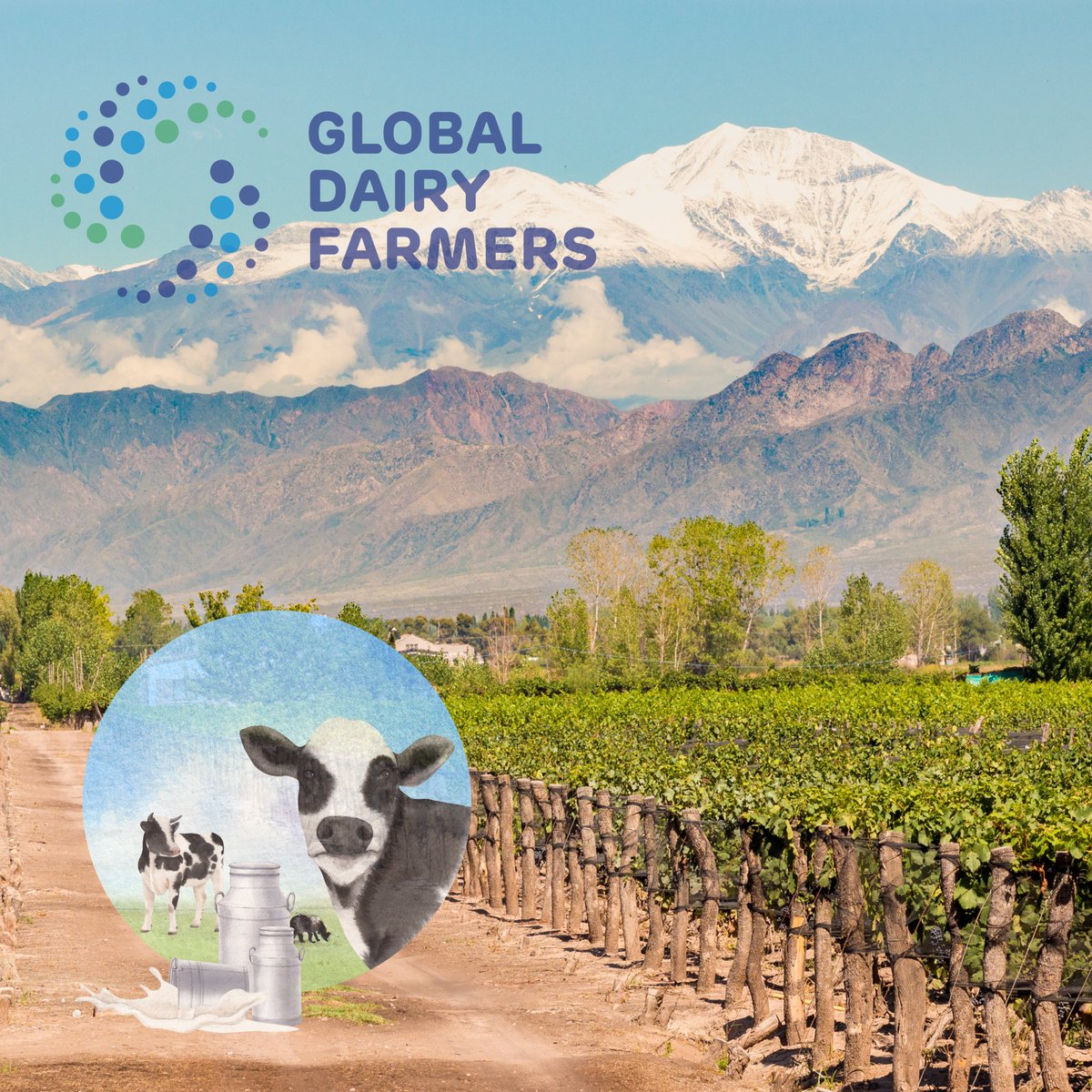 GDFnetwork's tweet photo. 🌍🐄𝗗𝘂𝗿𝗶𝗻𝗴 𝘁𝗵𝗲 𝗰𝗼𝗻𝗴𝗿𝗲𝘀𝘀 𝘁𝗼 𝗦𝗼𝘂𝘁𝗵 𝗔𝗺𝗲𝗿𝗶𝗰𝗮 𝘄𝗲'𝗹𝗹 𝘃𝗶𝘀𝗶𝘁 𝗕𝗿𝗮𝘇𝗶𝗹 𝗮𝗻𝗱 𝗔𝗿𝗴𝗲𝗻𝘁𝗶𝗻𝗮 
💡Interested in this weekly 'Global Dairy Farmers' congress in the end of november '22? 
✉️Send your email to: gdf-manager@globaldairyfarmers.com https://t.co/ZUg6slXZi9