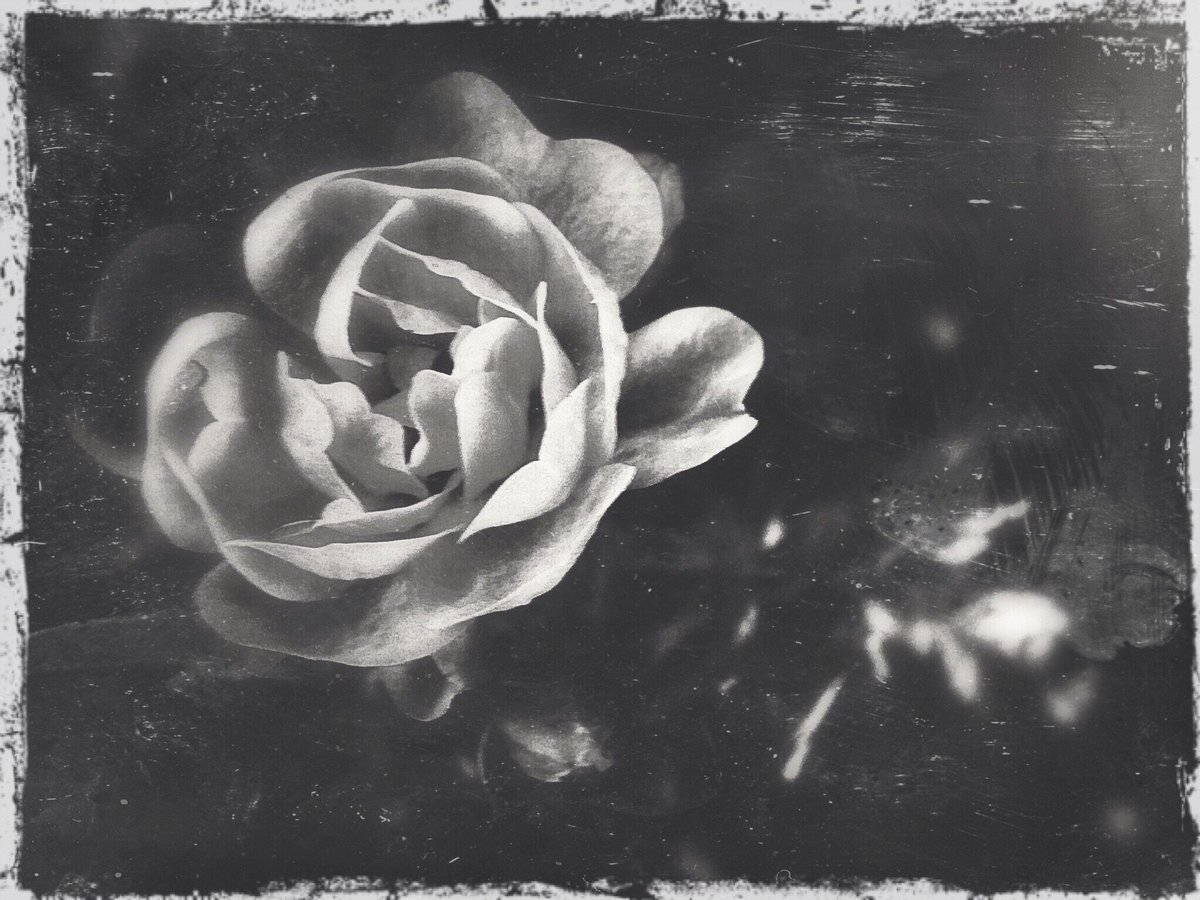 🚶🏻‍♂️Riccardo tweet media