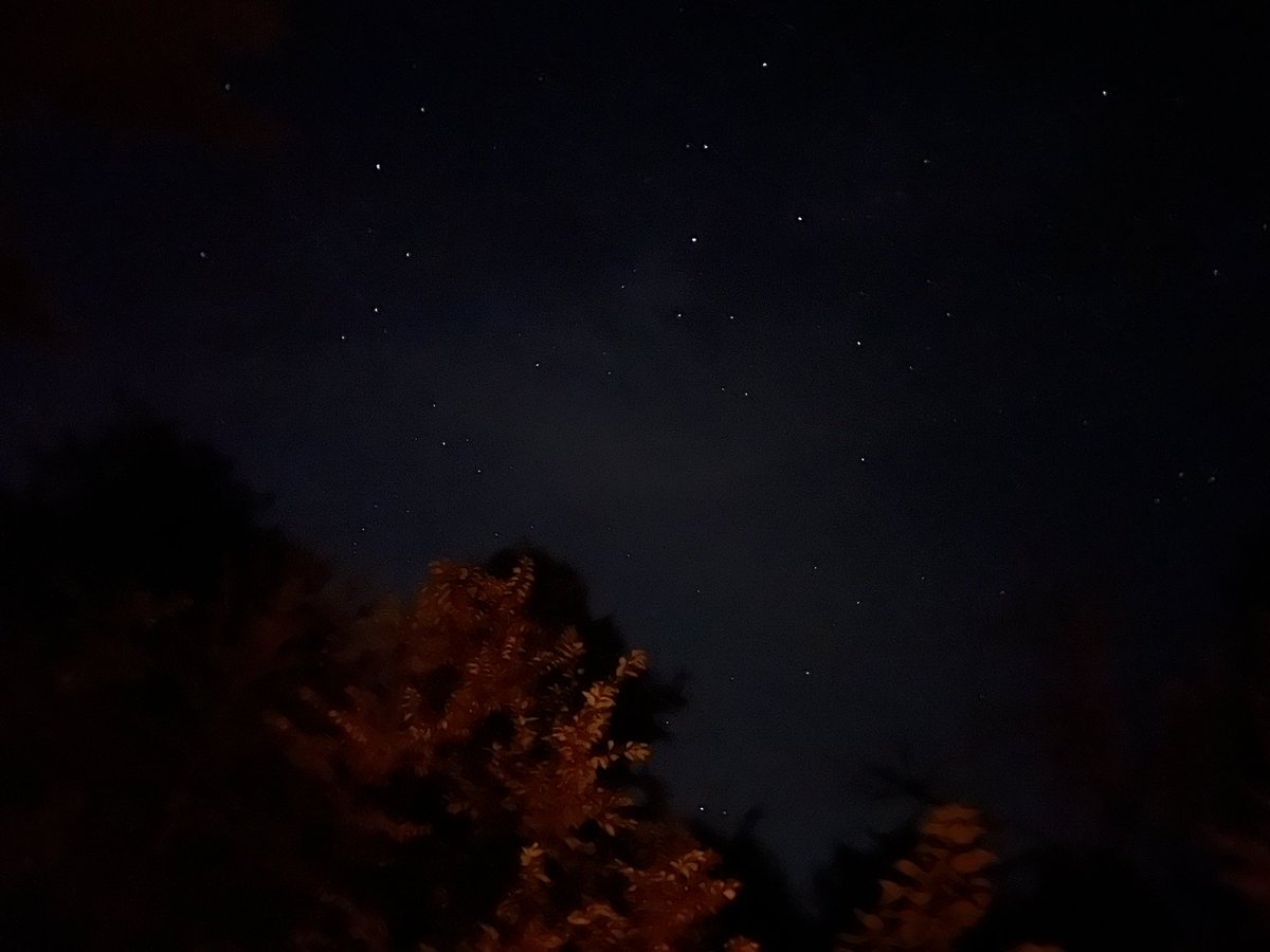 jcedarfox's tweet photo. 🎇Ideas sparking from a stargazing &amp; 🔥fire tending 🪵kind of reflective night 🌌 

#wisconsin #wisconsinartist #outdoorfun #summerfun #camping #campfire #processing
#simple #naturelovers #stargazer #adamscountywi #camp https://t.co/1WHM0RzXkV