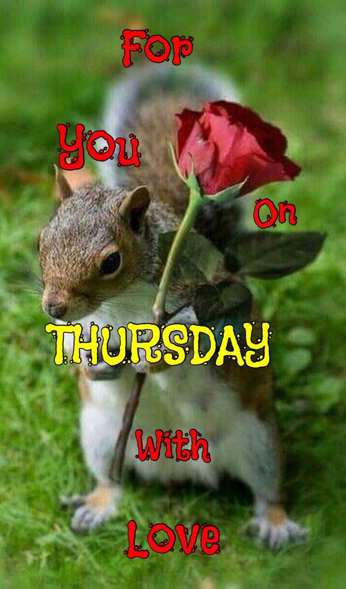 CartersCollecta's tweet photo. #ThursdayMotivation😷 
Bins done
Fed #FatLil
Made up @ccboyo meds
Got dressed and washed
😃👍

Theme: #Tchotchke / Small bits

Target:
Do what else I can

If you're stuck for unusual #giftideas, our website is open!

https://t.co/YIz7mpxdjz

#MHHSBD #NOTHS #Shop #Vintage #Antique https://t.co/0ACud9B0Wb