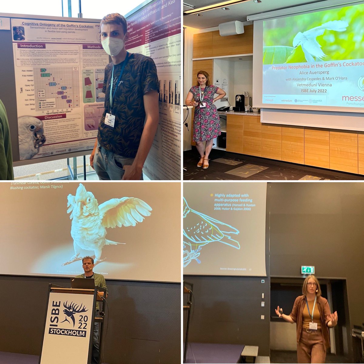 Jennifer Colbourne 🦜🏳️‍🌈🇨🇦 tweet media