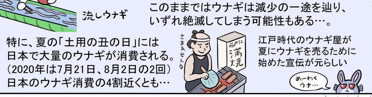 「"土用の丑の日"には全体の4割とも言われる大量のウナギが消費され、ウナギにとって恐るべきドゥームズデイと言えるウナ(別にウナギの旬でもなんでもないウナが…。)逆にいえばこの謎の風習さえなんとかすれば状況の改善もありうると思ウナ。食べるにしてもせめて時期をずらそウナ…」byウナぴょん 