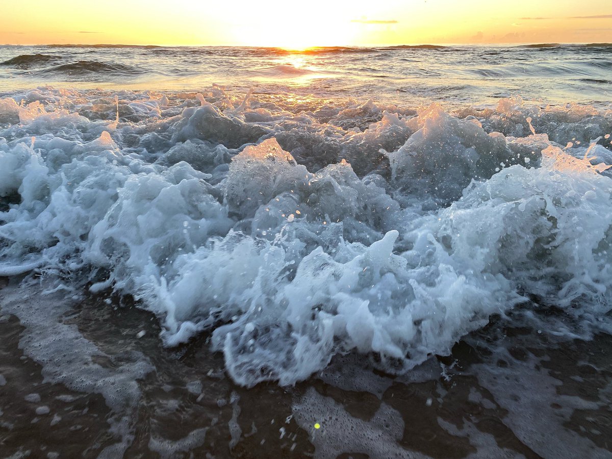 FlaglerSurf1's tweet photo. “You have a divine spark. You have a gift for bringing joy and laughter to the world. I know, I created you.”
.
.
#sunrise #flaglerbeach #brucealmighty #flowlove #bekind #mindset #gratitude #flaglersurf #highfives 
#haveagreatday @JimCarrey https://t.co/li7y0pTsst