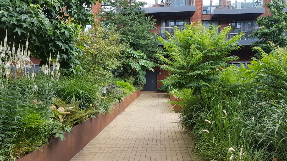 We have been carrying out maintenance in South West London. It's so lovely to see everything is green, especially after our mini heatwave.
#KLGUK #green #water #southwestlondon #maintenance #london