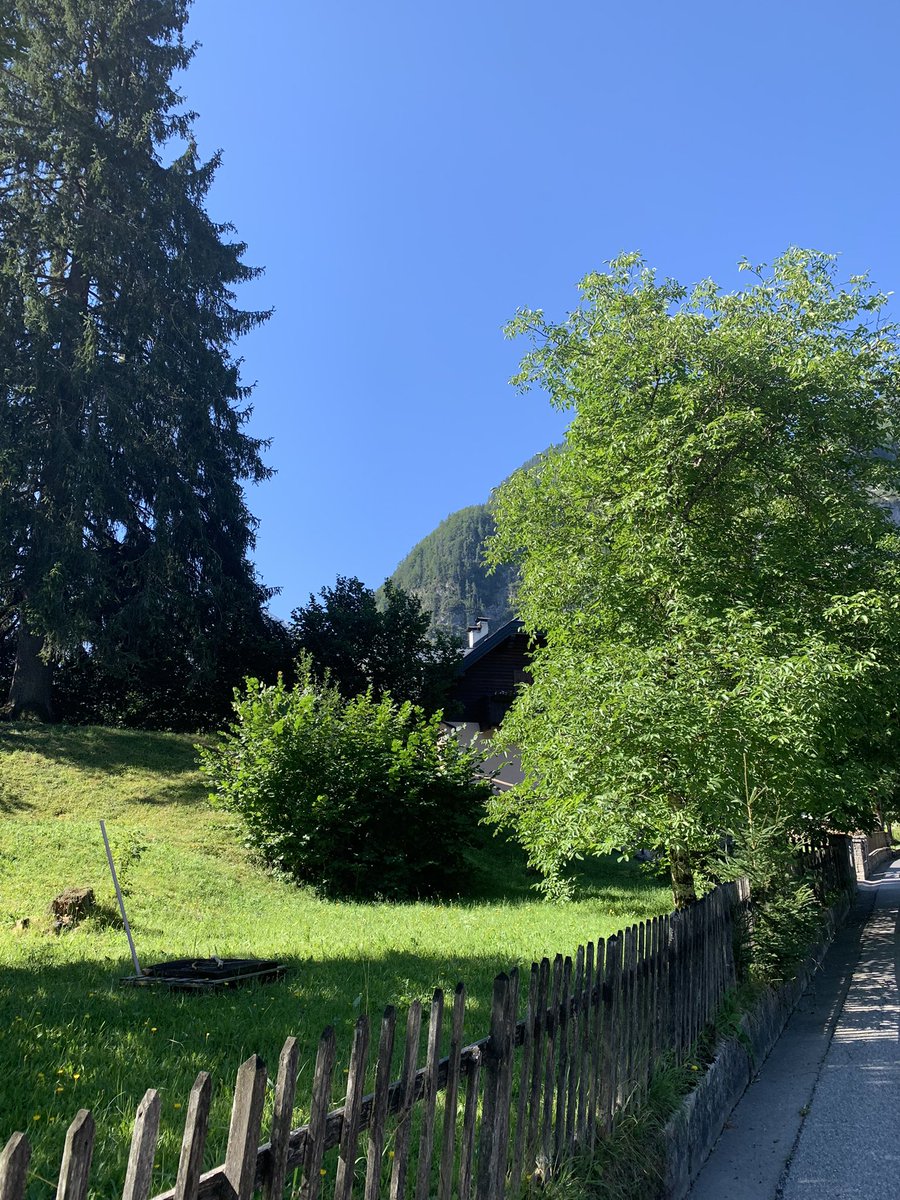 mariacr28250504's tweet photo. #valsaisera….inizia la passeggiata dopo una dolce pausa #3Agosto https://t.co/as7l9eCXCc