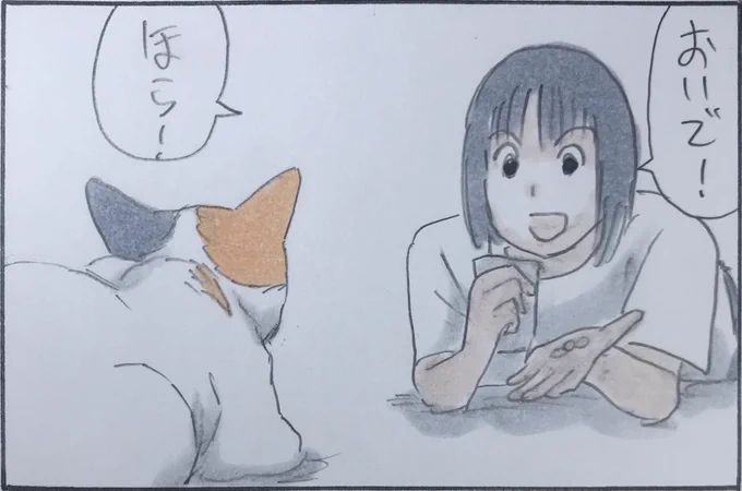 『謎のプライド』 