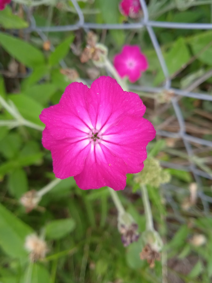 TheMessMess's tweet image. 