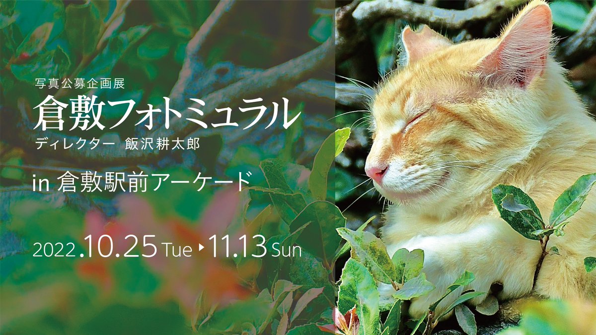 【公式】倉敷フォトミュラル tweet media