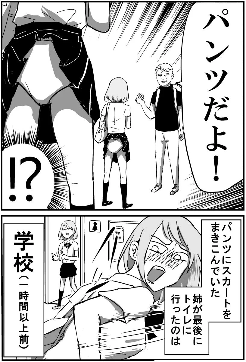 姉から聞いた最高に怖い話です。トイレの後に気を付けないと見えてはいけないものが見えてしまうかも。