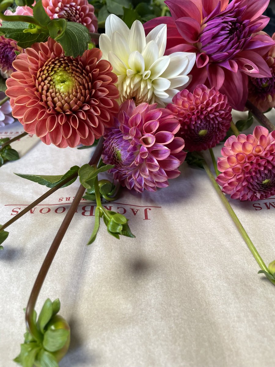 Jack Blooms tweet media