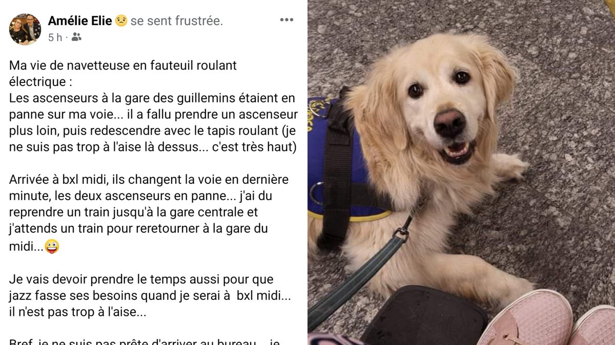 Osmoseasbl's tweet photo. Se déplacer en transports en communs n'est pas toujours aisé.... lorsqu'on est en chaise roulante cela se rapproche plus du calvaire ... petite lecture pour prise de conscience 😒
@SNCB un commentaire ? https://t.co/Y1gLC2EKka