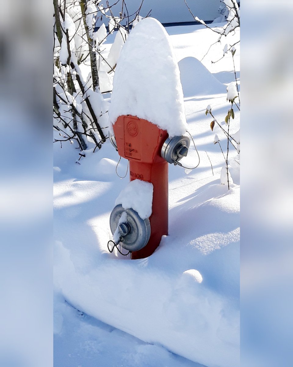 sisisingh's tweet photo. Der heutige Tag benötigt eine Abkühlung mit #Winterbild
#Hydrant im #Schnee
#Hot #heiß https://t.co/Rf783zQPLw