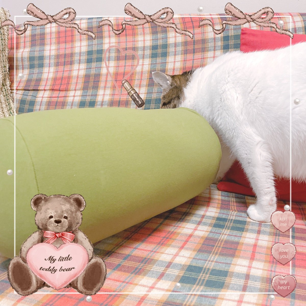 kyonka0707's tweet photo. 大好きなお友達が、誕生日プレゼントを送ってくれました💝
yogiboの、Roll Dot〰👼
初🌟ビーズクッション🙌
早速、Roll Dotちゃんをミミィが入念にチェック🐱✨
どうやら、ミミィも気に入ったようですよ🥰
#yogibo
#rolldot
#ヨギボー
#ロールドット
#プレゼント
#誕生日 https://t.co/hsMn6ICgwH