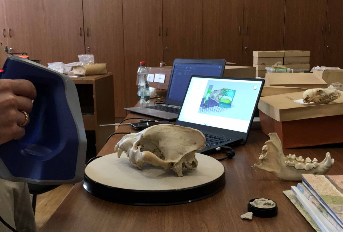 Lorenzo Rook tweet media