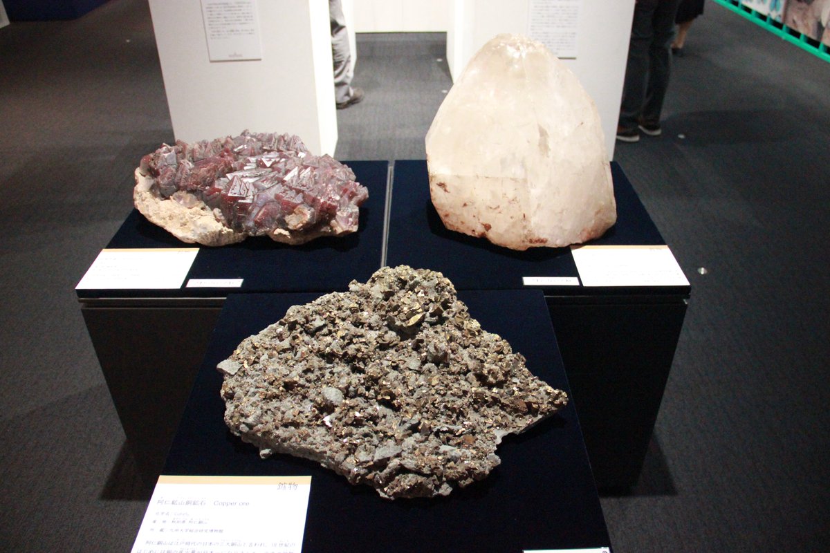 FLYING POSTMAN PRESS｜NEWS tweet media