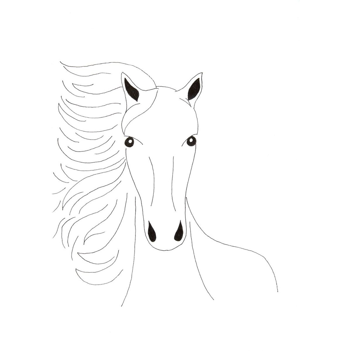 Nilan Marktanner tweet media