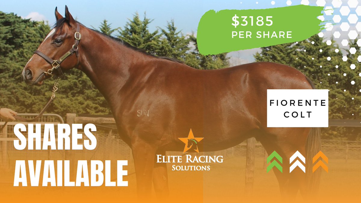 Elite Racing Solutions tweet media