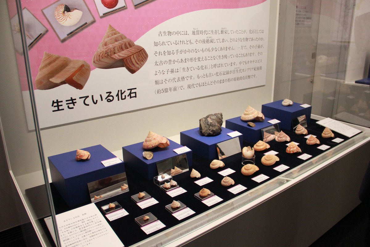 FLYING POSTMAN PRESS｜NEWS tweet media