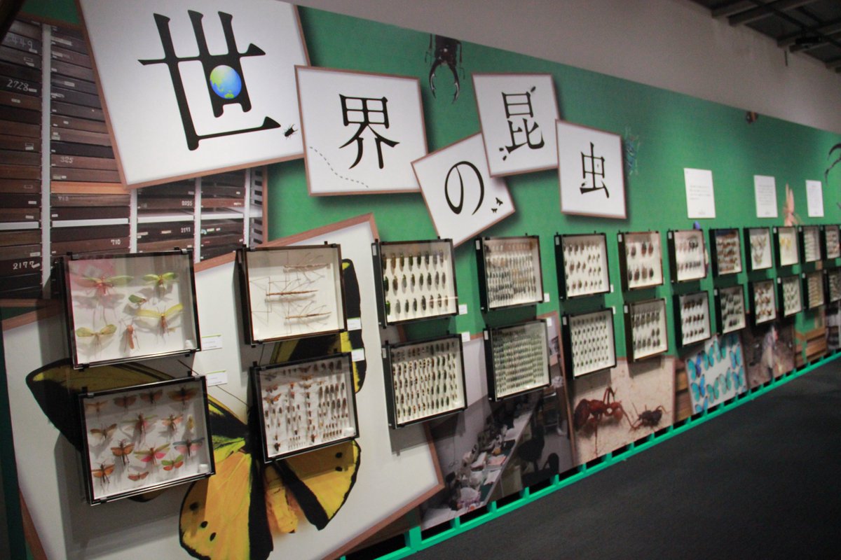 FLYING POSTMAN PRESS｜NEWS tweet media