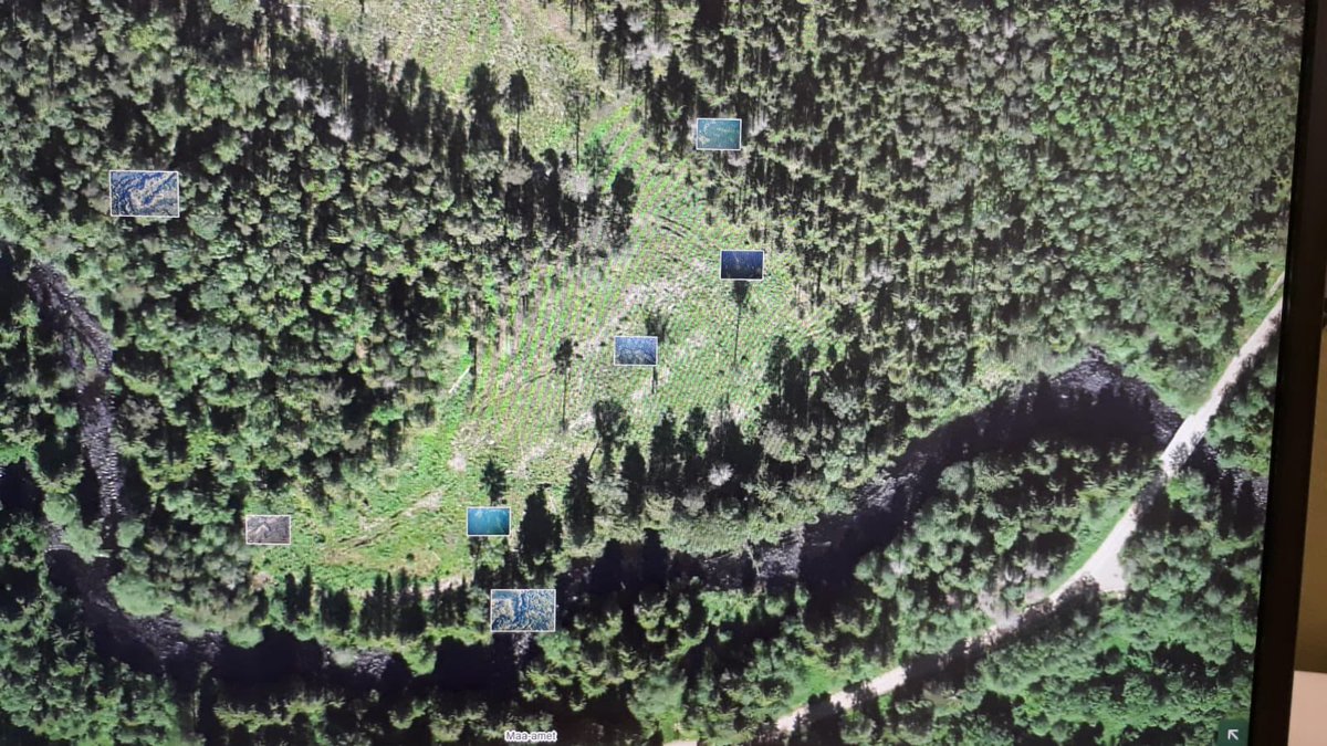 Vesa-Ville Väänänen tweet media