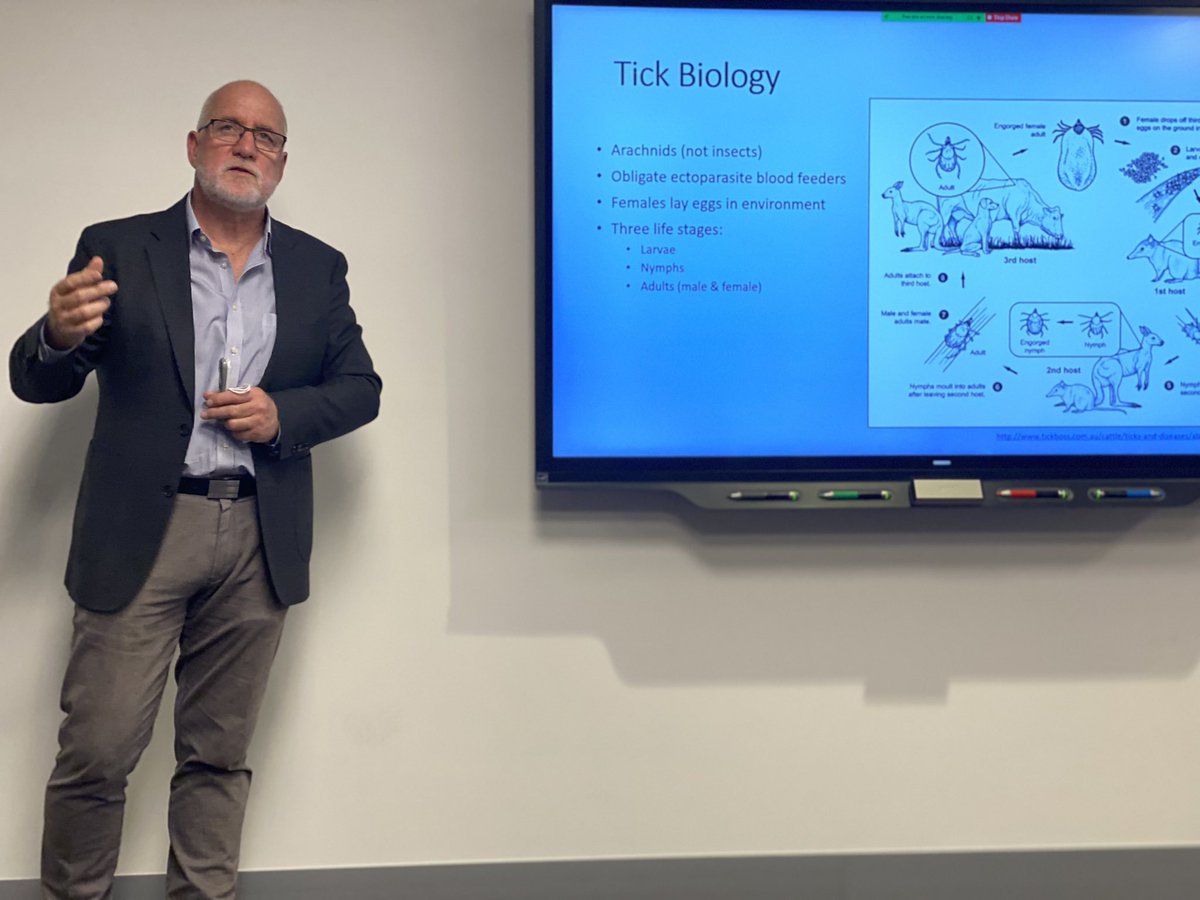 CrypTick Lab tweet media