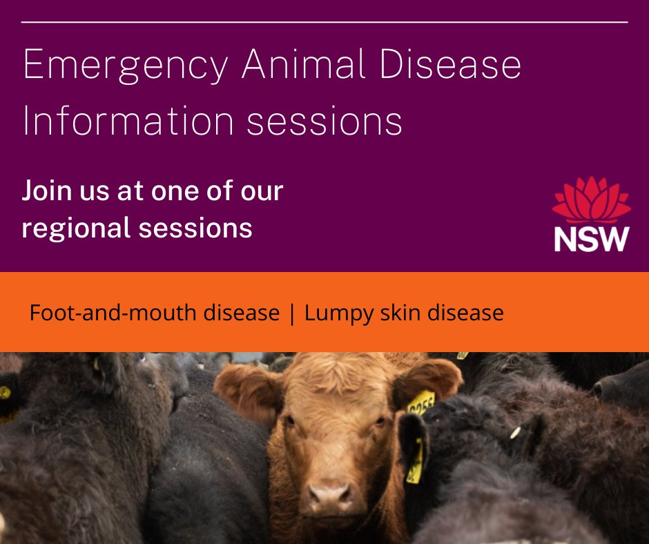 We’re running a series of free information sessions to give landholders the information needed to prepare for and manage an emergency animal disease outbreak.

To find and RSVP for an upcoming event near you visit bit.ly/EAD-LLS. 
@nswdpi  #FMD #LumpySkinDisease